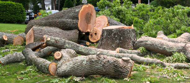 Best Lawn Maintenance Plans  in Pine Grove, CA
